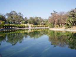 Chapultepec Lake